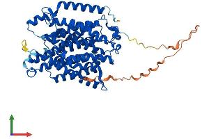 AlphaFold protein structure predicition of Mouse Recombinant Rhcg Protein, UniprotID Q9QXP0 (RHCG Protein (AA 1-498) (His tag))