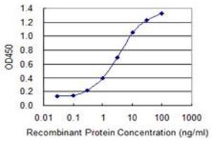 Detection limit for recombinant GST tagged SOX12 is 0. (SOX12 antibody  (AA 252-313))