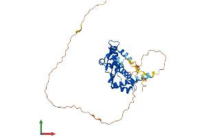 AlphaFold protein structure predicition of Human Recombinant MAGEA12 Protein, UniprotID P43365 (MAGEA12 Protein (AA 1-314) (His tag))