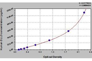 DLL3 ELISA Kit