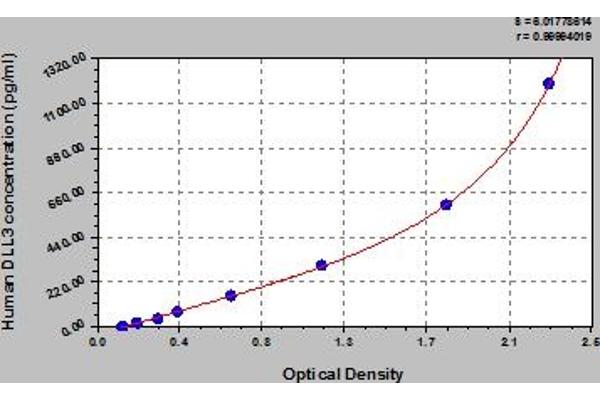 DLL3 ELISA Kit