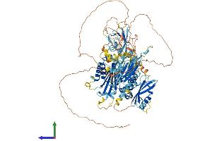 AlphaFold protein structure predicition of Human Recombinant INTU Protein, UniprotID Q9ULD6