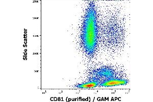 Flow cytometry surface staining pattern of human peripheral blood stained using anti-human CD81 (M38) purified antibody (concentration in sample 4 μg/mL) GAM APC.