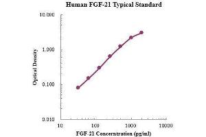 ELISA image for Fibroblast Growth Factor 21 (FGF21) ELISA Kit (ABIN3198429)
