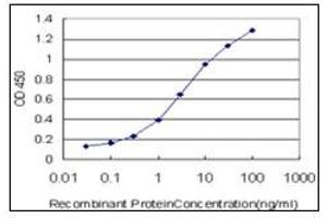 ELISA image for anti-SMAD, Mothers Against DPP Homolog 2 (SMAD2) antibody (ABIN781909) (SMAD2 antibody)
