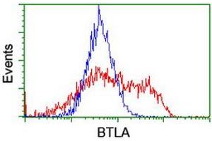 Image no. 3 for anti-B and T Lymphocyte Associated (BTLA) antibody (ABIN1496980) (BTLA antibody)