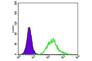 Flow Cytometry (FACS) image for anti-Megakaryocyte-Associated tyrosine Kinase (MATK) antibody (ABIN1108164) (MATK antibody)