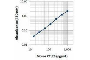 ELISA image for anti-Chemokine (C-C Motif) Ligand 28 (CCL28) antibody (Biotin) (ABIN2660745) (CCL28 antibody  (Biotin))
