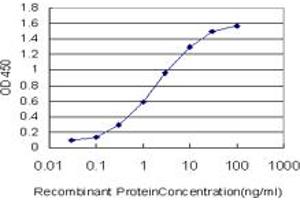 Detection limit for recombinant GST tagged SCAP1 is approximately 0. (SKAP1 antibody  (AA 1-100))