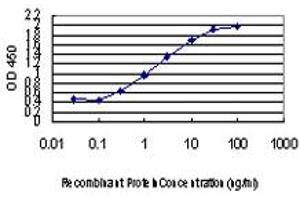 ELISA image for anti-Zic Family Member 4 (ZIC4) (AA 249-320) antibody (ABIN466252) (ZIC4 antibody  (AA 249-320))
