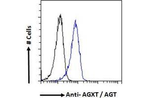 ABIN570702 Flow cytometric analysis of paraformaldehyde fixed HepG2 cells (blue line), permeabilized with 0.