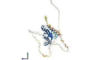 AlphaFold protein structure predicition of Mouse Recombinant Rem2 Protein, UniprotID Q8VEL9 (REM2 Protein (AA 1-341) (His tag))