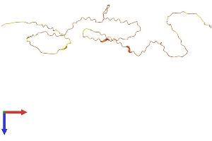 AlphaFold protein structure predicition of Human Recombinant CACTIN-AS1 Protein, UniprotID Q8N1I8 (CACTIN-AS1 Protein (AA 1-211) (His tag))