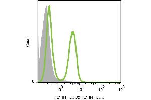 Surface staining of CD3 in murine splenocytes with anti-CD3 (145-2C11) FITC. (CD3 antibody  (FITC))