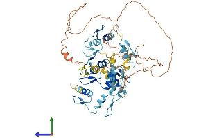 AlphaFold protein structure predicition of Human Recombinant ZNF382 Protein, UniprotID Q96SR6
