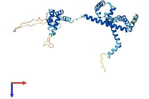 AlphaFold protein structure predicition of Mouse Recombinant Dnajc25 Protein, UniprotID A2ALW5