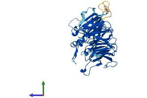 AlphaFold protein structure predicition of Mouse Recombinant Ppp2r2d Protein, UniprotID Q925E7