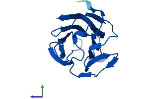 AlphaFold protein structure predicition of Human Recombinant LGALS13 Protein, UniprotID Q9UHV8
