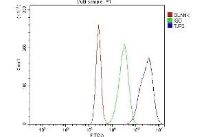 Flow Cytometry analysis of CACO-2 cells using anti-TJP2/ZO2 antibody (ABIN7602800). (TJP2 antibody  (C-Term))