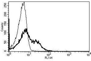 A typical staining pattern with the B-G27 monoclonal antibody of lymphocytes (FAS antibody)