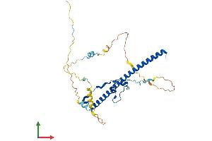 Protein Structure (PS) image for Thyrotrophic Embryonic Factor (TEF) (AA 1-303) protein (His tag) (ABIN7544208)