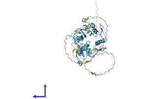 AlphaFold protein structure predicition of Human Recombinant ZNF419 Protein, UniprotID Q96HQ0