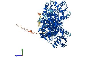 AlphaFold protein structure predicition of Human Recombinant PFKP Protein, UniprotID Q01813