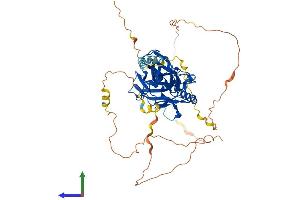 Protein Structure (PS) image for Nuclear Factor-kB p65 (NFkBP65) (AA 1-551) protein (His tag) (ABIN7555718)