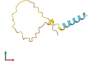 AlphaFold protein structure predicition of Human Recombinant LINC00474 Protein, UniprotID Q9P2X8 (LINC00474 Protein (AA 1-69) (Fc Tag))