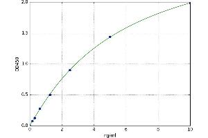 Erythropoietin Receptor (EPOR) ELISA Kit