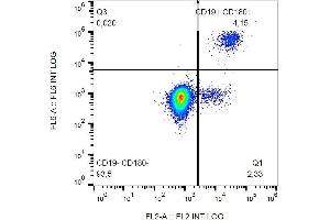 Surface staining of human peripheral blood cells with anti-CD180 (G28-8) PE. (CD180 antibody  (PE))