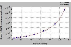 LASP1 ELISA Kit