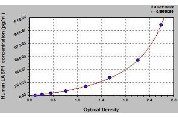 LASP1 ELISA Kit