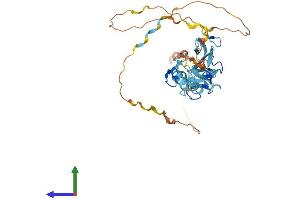 AlphaFold protein structure predicition of Human Recombinant FBLIM1 Protein, UniprotID Q8WUP2 (FBLIM1 Protein (AA 1-373) (His tag))