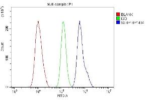 Flow Cytometry analysis of U87 cells using anti-SLBP antibody (ABIN7600074).