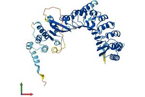 AlphaFold protein structure predicition of Human Recombinant PRAMEF7 Protein, UniprotID Q5VXH5 (PRAMEF7 Protein (AA 1-474) (His tag))