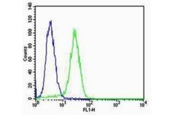 CD51/CD61 antibody