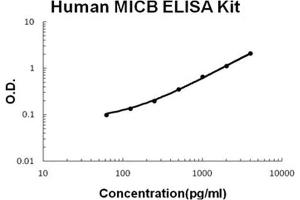 Human MICB PicoKine ELISA Kit standard curve (MICB ELISA Kit)