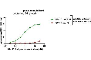 ELISA image for anti-SARS-CoV-2 Spike (AA 319-541) antibody (ABIN7581775)