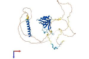 NUP50 Protein (AA 1-468) (His tag)