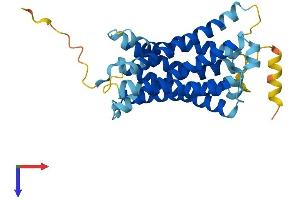AlphaFold protein structure predicition of Mouse Recombinant Mrgpra4 Protein, UniprotID Q91WW2 (Mrgpra4 Protein (AA 1-313) (His tag))