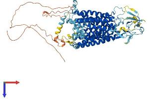 AlphaFold protein structure predicition of Human Recombinant SLCO4A1 Protein, UniprotID Q96BD0 (SLCO4A1 Protein (AA 1-722) (His tag))