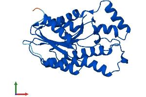 AlphaFold protein structure predicition of Human Recombinant SPR Protein, UniprotID P35270 (SPR Protein (AA 1-261) (His tag))