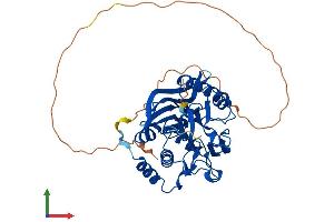 AlphaFold protein structure predicition of Human Recombinant NOCT Protein, UniprotID Q9UK39