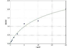 Family with Sequence Similarity 20, Member B (FAM20B) ELISA Kit