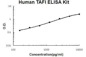 Human TAFI/CPB2 EZ Set ELISA Kit standard curve (Human TAFI/CPB2 EZ Set™ ELISA Kit (DIY Antibody Pairs))