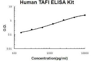 Human TAFI/CPB2 EZ Set ELISA Kit standard curve