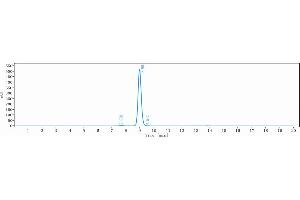 The purity of Anti-HGF / SF Reference Antibody (ficlatuzumab) is 98. (Recombinant HGF (Ficlatuzumab Biosimilar) antibody)