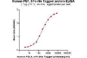 ELISA plate pre-coated by 2 μg/mL (100 μL/well) Human PD1, hFc-His tagged protein (ABIN6961149) can bind Human PDL1, mFc-His tagged protein (ABIN6961096) in a linear range of 62. (PD-1 Protein (Fc-His Tag))