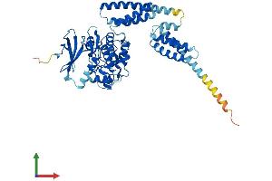 AlphaFold protein structure predicition of Human Recombinant ULK3 Protein, UniprotID Q6PHR2